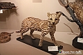VBS_0985 - Riapre il Museo di Scienze Naturali dopo dieci anni di chiusura